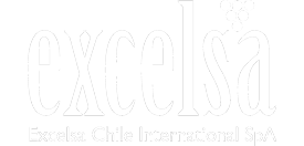 Exportación de vinos chilenos